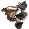 Dried Black Trumpet Mushrooms 1 lbs