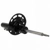 Frt Strut  Motorcraft  AST413