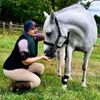 ARCEQUINE ARC EQUINE Black Arm Strap 471226 - Durable Versatile Adjustable Replacement Strap for Use with Arc4Health Microcurrent Device