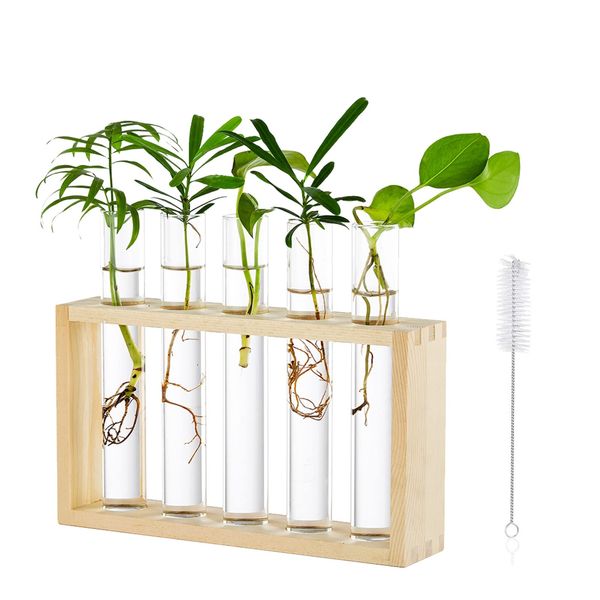 Tabletop Hanging Glass Planter Propagation Station Modern 5 Test Tube Flower Bud Vase in Wood Stand Rack Tabletop Terrarium for Hydroponic Plants Cuttings Office Home Decoration, Gift for Plant Lover