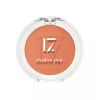 17. Shadow Pop Shade 100  Eyeshadow
