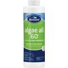 BioGuard Algae All 60 - 1 Quart, Non-Foaming Algae Preventative No Stain No Foam