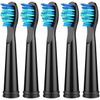 KOPBTBOY Toothbrush Replacement Heads Compatible with FW ,Toothbrush Heads Compatible with FW507/508/551/515/917/ 959/2011,FW-D1/D3/D7/D8 5pc Medium Soft Black