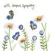 Alex Clark Sympathy Daisies Card