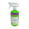 All-Purpose Spider and Mite Solution