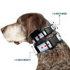 Buckle-Down Plastic Clip Collar - Chicago Flags/Black - 1/2" Wide - Fits 8-12" Neck - Medium