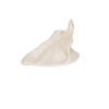 Life-Size Scapular Model - Scapular Model - 3B Scientific