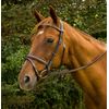 Henri de Rivel Monocrown Event Bridle Horse