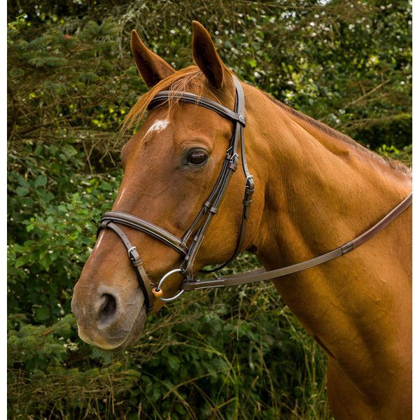 Henri de Rivel Monocrown Event Bridle Horse