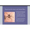 Hypericum Perforatum Cream 1 Pack
