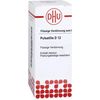 DHU Pulsatilla D12 Dilution, 20 ml Lösung