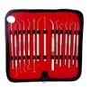 15 Pcs Oral Hygiene Kit Plaque Remover Professional Dental Picks Set Double & Single Ended Picks + Scraper, Mouth Mirror & Tweezers for Gum Care Cleaning Set Stainless Steel with Carrying Case
