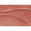 Burt's Bees 100% Natural Lip Shimmer