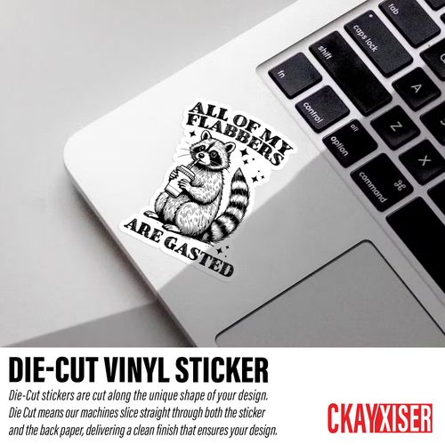 (3Pcs) All of My Flabbers are Gasted Raccoon Stickers Nurse Nursing Medical Stickers Dark Humor 3" Waterproof Die-Cut Vinyl Sticker for Laptop, Water Bottle Sticker Funny Gifts for Her Him 3 Inches