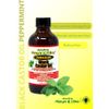 Jamaican Mango & Lime Black Castor oil, Peppermint, 4 Fl Oz
