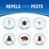 Cutter Backwoods Insect Repellent, Mosquito Repellent, 25% DEET, Sweat Resistent, 6 Ounce (Aerosol Spray)