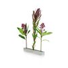 XXD Flower Boulevard Vase – an Vase – Impressed by Design