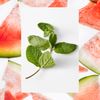 Raw Sugar, Body Wash Watermelon & Mint, 25 Ounce