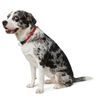 Hunter Freestyle 40712 Training Collar 45 / 10