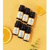 Pet-Friendly Aromatherapy Essential Oils Collection - Cedarwood, Chamomile, Fran
