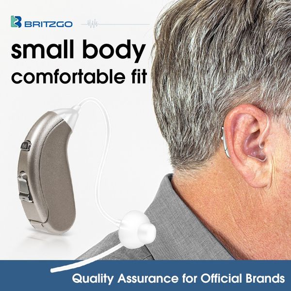Britzgo 702 Hearing Aid Hearing Amplifier Recreation Adult Hearing Aid. Noise Canceling Personal Sound Amplifier, [01] Silver