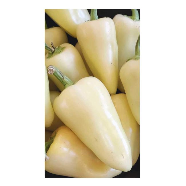 Fresh Yellow Caribe Chiles Peppers 2 lbs.