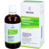 Calendula Essence 20% 100 ml