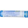 Caulophyllum Thalictroides 6C - Homeopathic Medicine for Menstrual Cramps (80 Pellets)