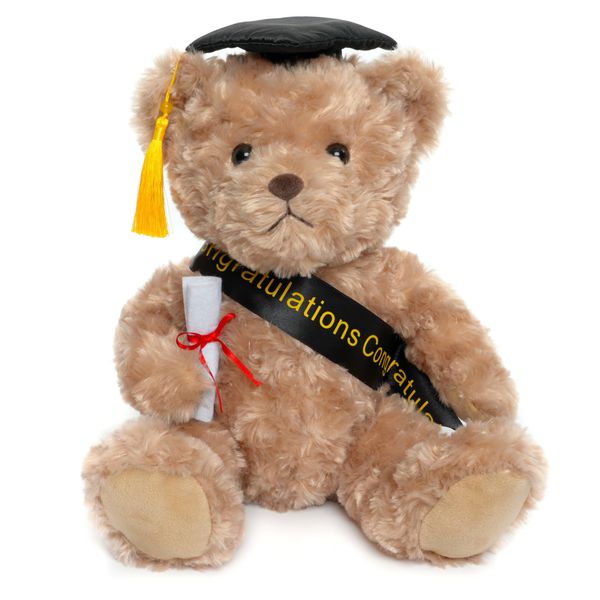 WEIGEDU 2024 Graduation Gifts Teddy Bear Stuffed Animal Plush Toy with Doctoral Tam Velvet Gold Bullion Tassel Diploma for Man Women Girls Boys Congratulatory Party