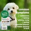 HomeoPet Anxiety Relief white, 15 ml