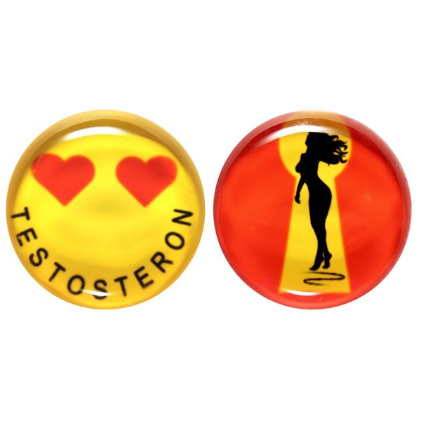 GlasXpert Glass Fridge Magnets Set of 2 Testosterone Glass Magnets