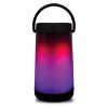 Lantern Light Speaker