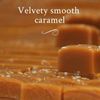 Gourmet Salted Caramel Candy 3.6 Ounce Handcrafted Individually Wrapped
