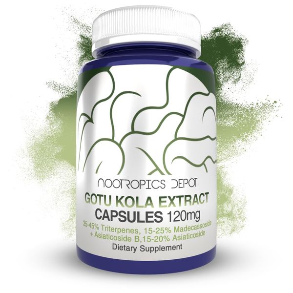 Nootropics Depot Gotu Kola Extract Capsules | 120mg | 90 Count | Acid Resistant | Centella asiatica | 35-45% Triterpenes | Supports Healthy Stress Levels | Promotes Memory Enhancement