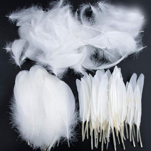 Feather for Crafts,250 Pcs Coloured Feather Striking Feathers for DIY Dream Catchers Natural Crafts Feathers for Wedding/Party/Decorations(3 Sizes) (White)