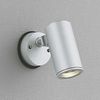 ODELIC OG254370 Exterior LED Spotlight (Lamp Sold Separately), Matte Silver: