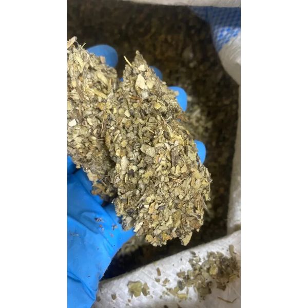 Mullein Leaf Bulk Tea Herb cut organic - 1/8 oz ounce