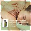 doTERRA - Basil Essential Oil - 15 mL