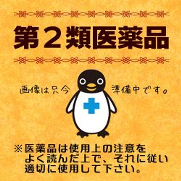 【第2類医薬品】JPS漢方顆粒-43号 180包 ×2