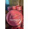 Phyto Booster Whitening Anti Aging Formula Advanced Collagen Stemcell EXPRESS