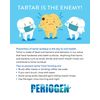 Periogen Toothpaste - Plaque & Tartar Control Formula 3-Pack - Summer Sale!