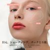 Ameli Step Basic Eye Shadow Korean Cosmetics (#255)