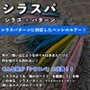 Silasspa Clear Chart Azzurro Sinking Pencil 105mm Lure