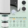 2 Pack HP01 HP02 HEPA Filter Compatible with Dyson Desk Purifier, Dyson Pure ...