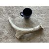 X-Large Dog Chew! Moose Antler! 2 Pounds!