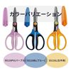 Kutsuwa SS166BL Scissors School Craft Scissors Blue