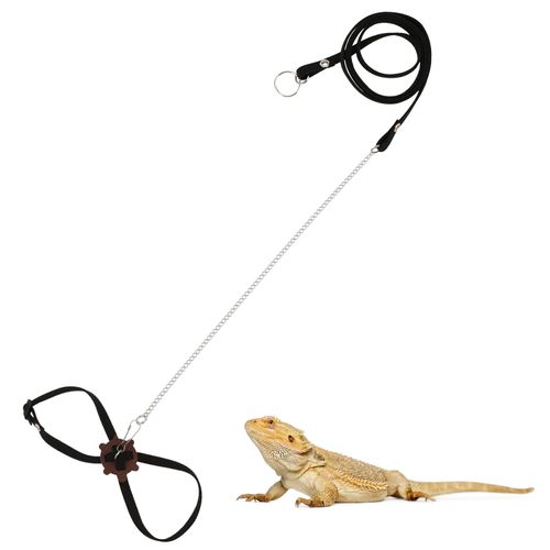 2 Pack Adjustable Reptile Harness and Leash for Lizard Gecko Bearded Dragon Outside Walk (Black)