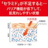 curél hand cream 50g