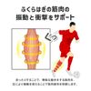 Activital Gator Socks S-M Red