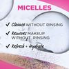 Garnier SkinActive Micellar Facial Cleanser & Makeup Remover Wipes, Gentle for All Skin Types (25 Wipes), 2 Count (Packaging May Vary)